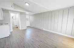 Willow - Photo 1 of 1