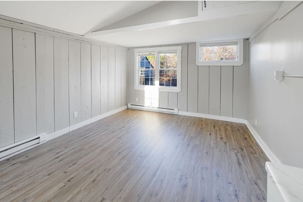 Willow - Photo 2 of 4