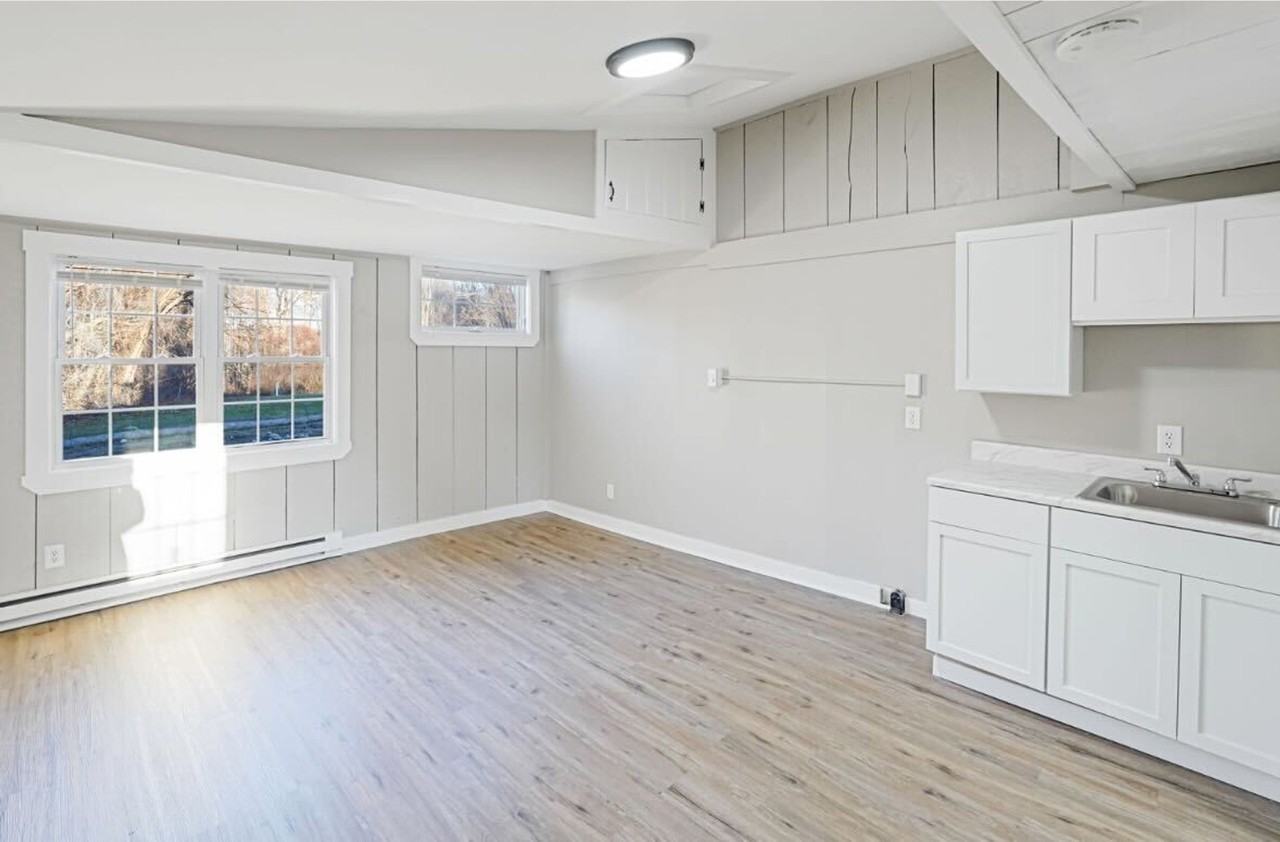 Willow - Photo 4 of 4