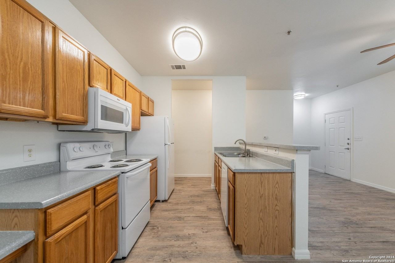 1000 Diamond Dr Apt 2004 #2004 - Photo 4 of 37