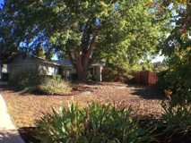 3711 Firefly Way - Photo 1 of 1