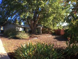 featured image of 3711 Firefly Way