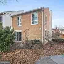 7527 Broken Staff - Photo 1 of 1