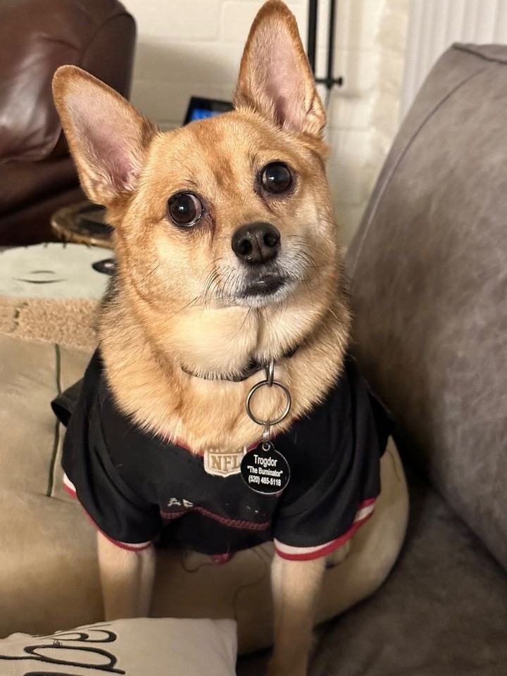 The Lakes Apartments - Photo 3 of 27