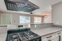 Donax - Photo 1 of 1