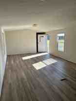 Fox Squirrel - Photo 1 of 1