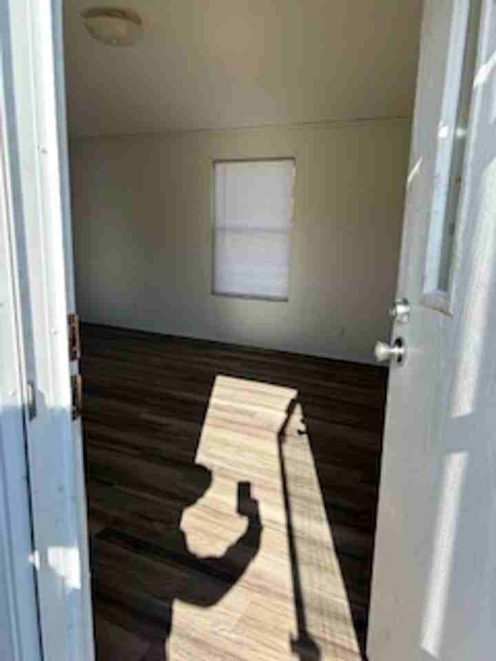 Fox Squirrel - Photo 2 of 11