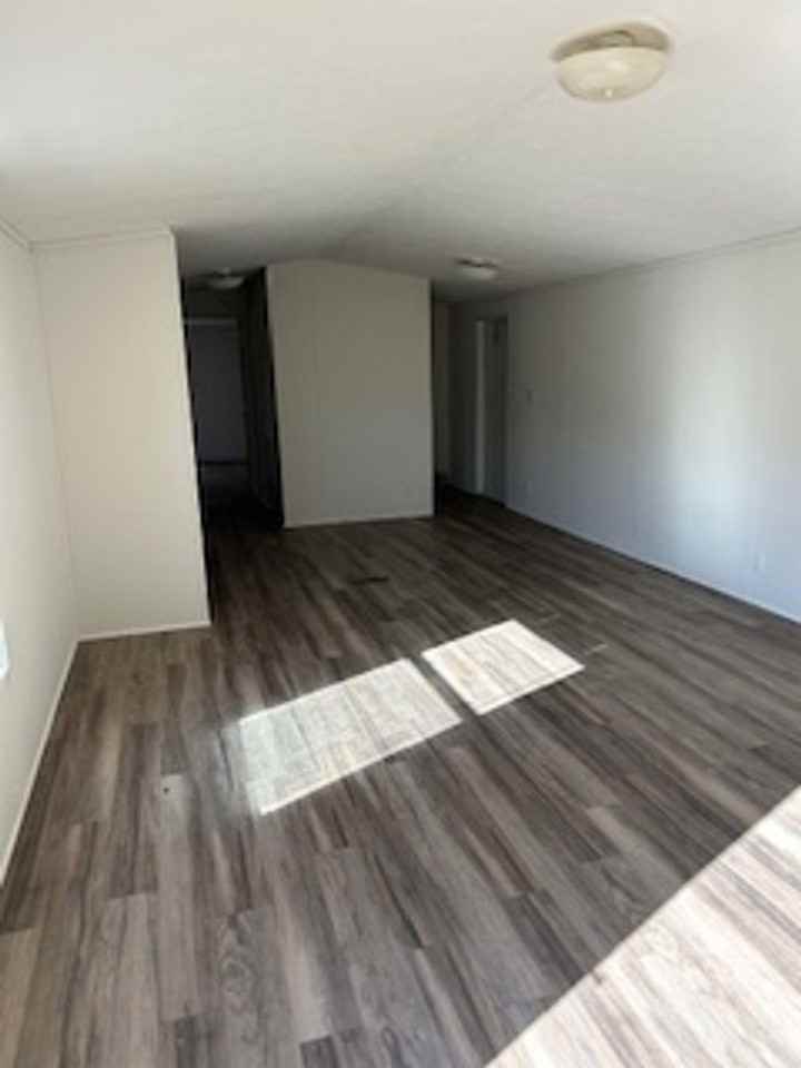 Fox Squirrel - Photo 3 of 11