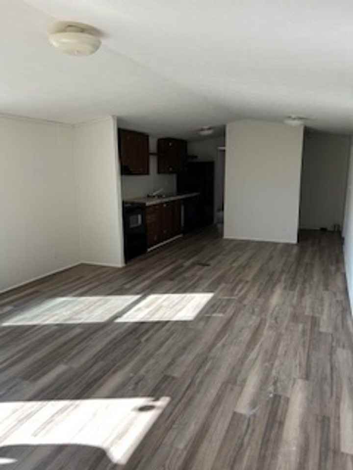 Fox Squirrel - Photo 4 of 11