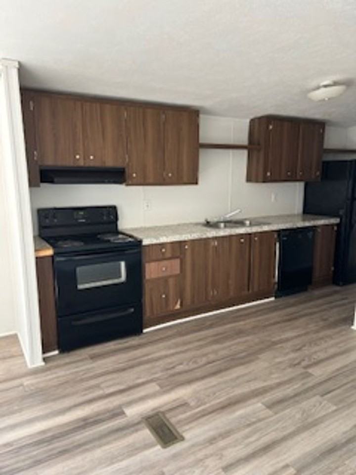 Fox Squirrel - Photo 5 of 11