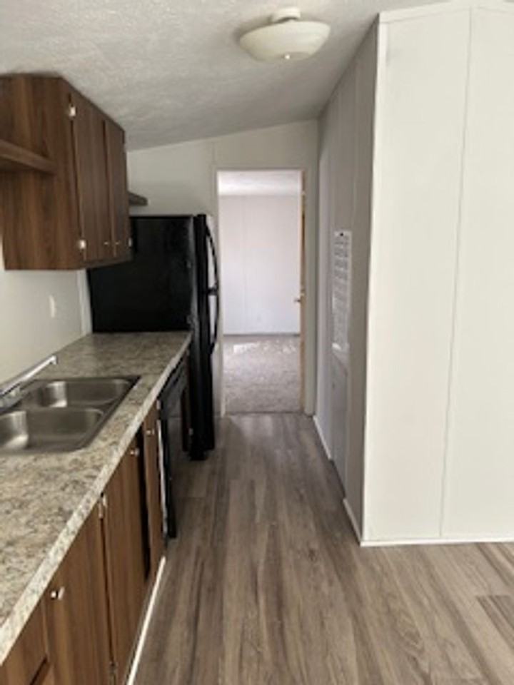 Fox Squirrel - Photo 6 of 11