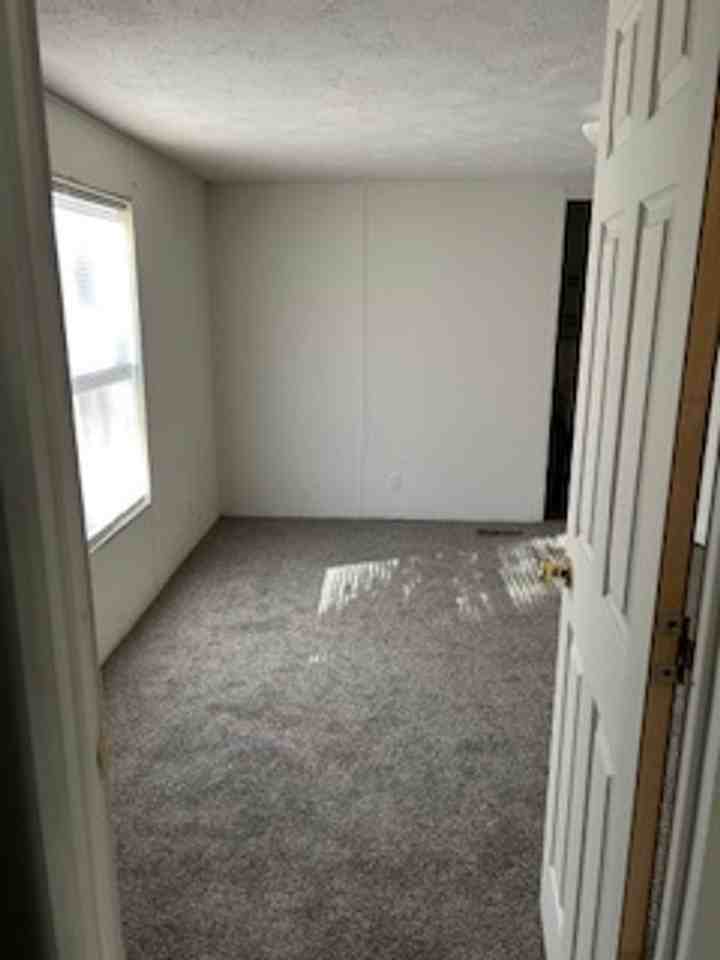 Fox Squirrel - Photo 7 of 11