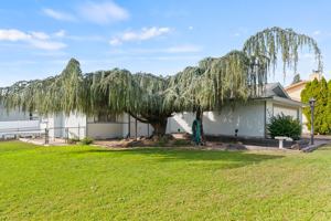 featured image of Alpine Way