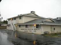 Willow - Photo 1 of 1