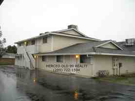 Willow - Photo 1 of 1