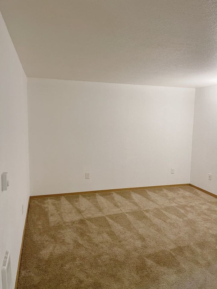 15370 Bangy Rd - Photo 5 of 15