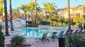 39271 Flamingo Bay Lane #D - Photo 1 of 1