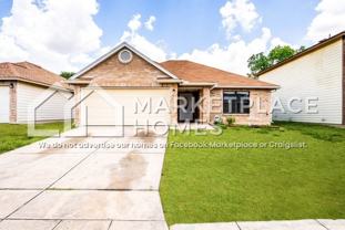 7250 Dwarf Palm #6066 - Photo 1 of 1