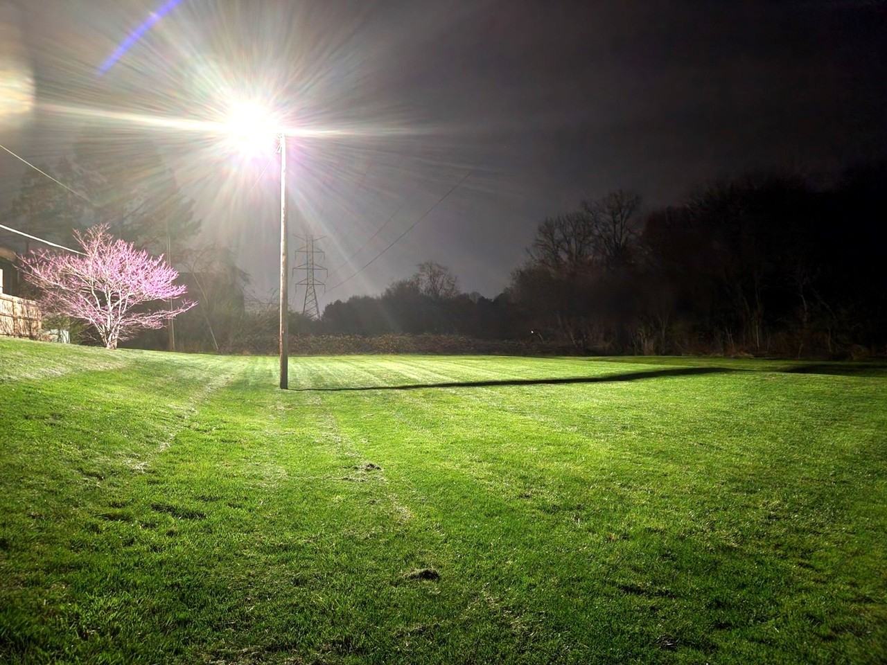 8500 Ankara Ct #49 - Photo 3 of 9