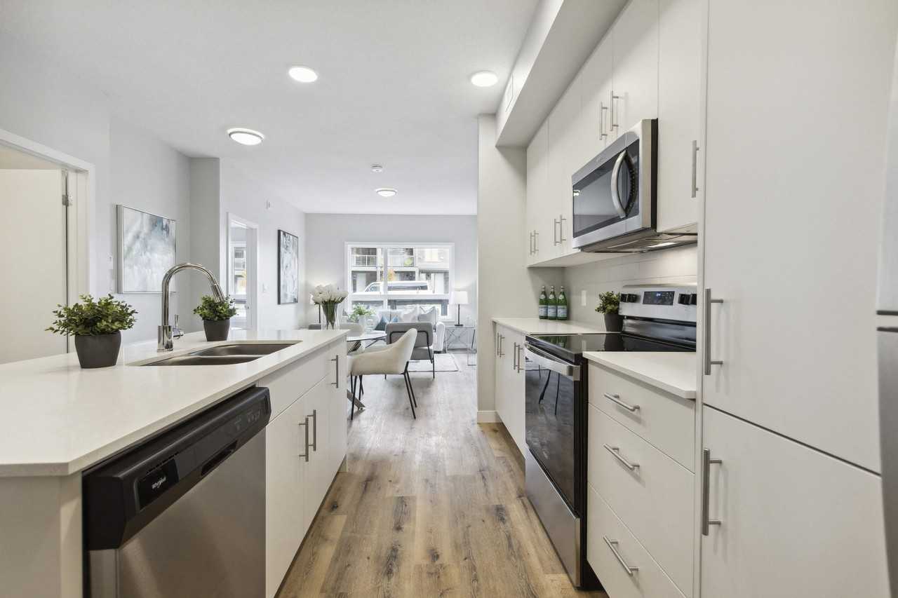 Lumina Apartments - Photo 4 of 50