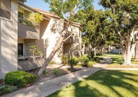 featured image of 1700 Via Pacifica