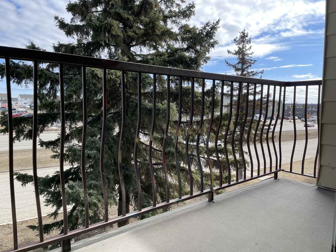 8920 86 Street #303 - Photo 3 of 6