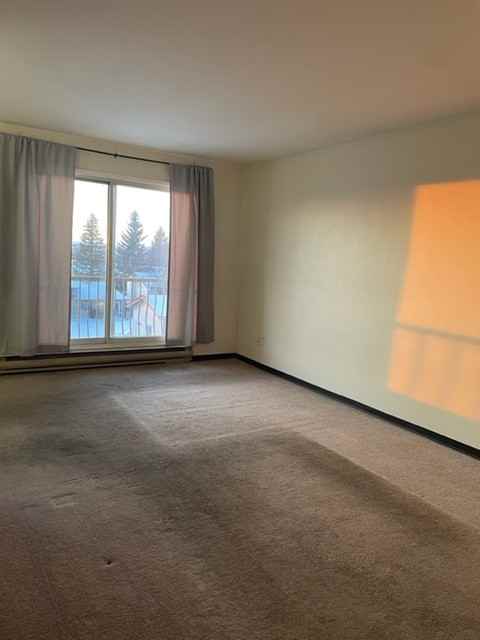 8920 86 Street #303 - Photo 4 of 6