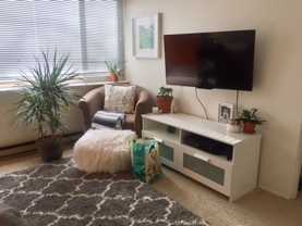 Willowbrook Apartments - Photo 1 of 1