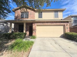 featured image of 12239 Painted Daisy