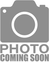 100 Sauer Alley - Photo 1 of 1