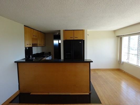 2525 Date St #3902 - Photo 3 of 11