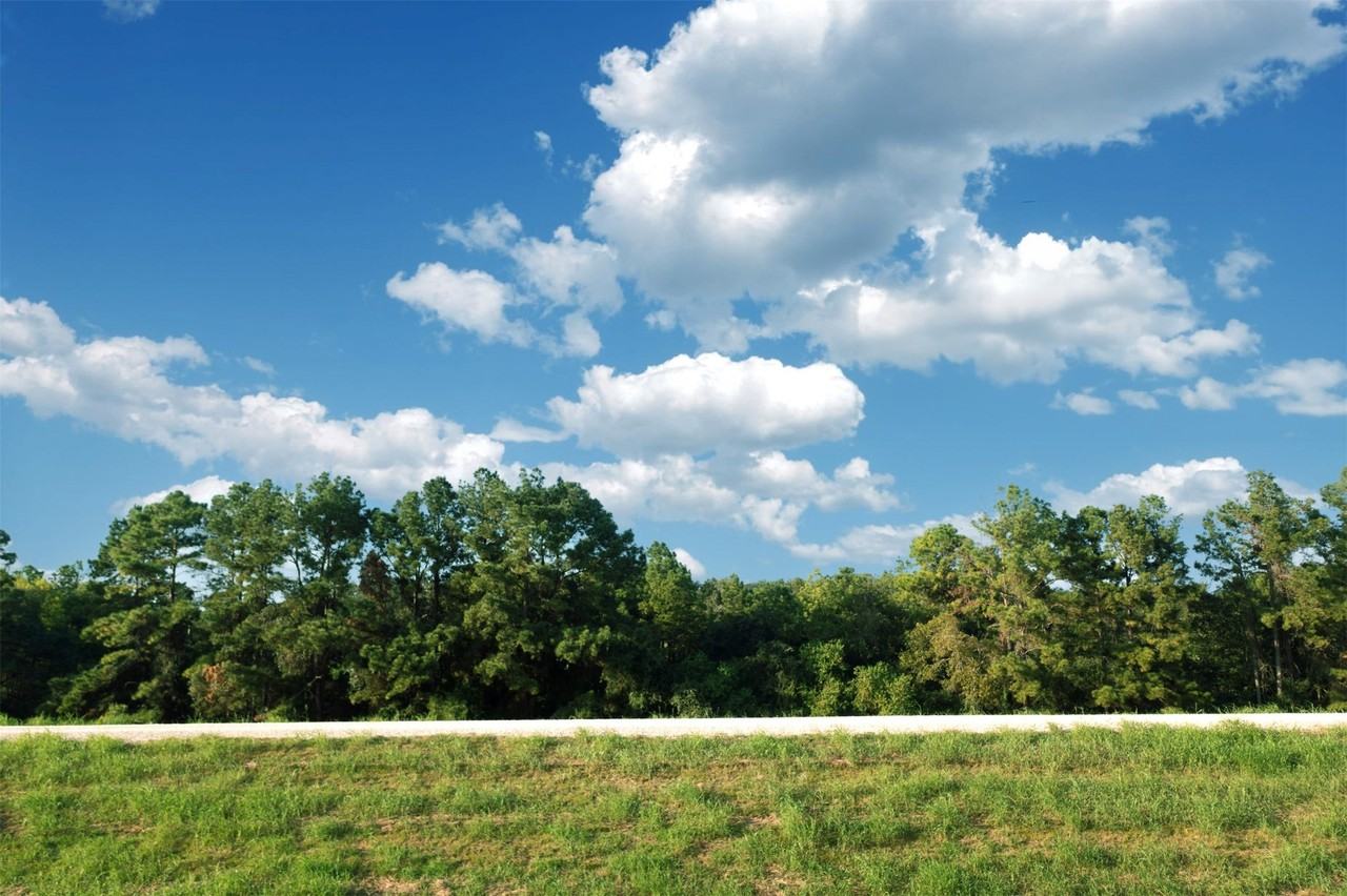 16018 Oregon Oak Dr #16018 - Photo 3 of 29