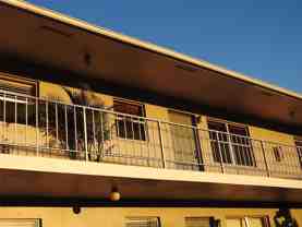 1600 Ne 3rd Ave - Photo 1 of 1