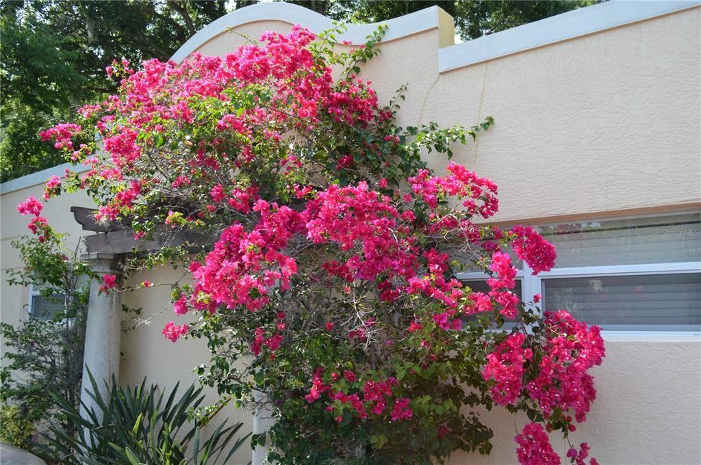 1757 Hillview St #1757-5 - Photo 6 of 19