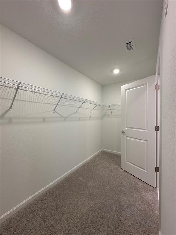 5695 Ficus Aurea St #5695 - Photo 4 of 28