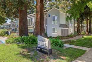 Boulevard - Photo 1 of 1