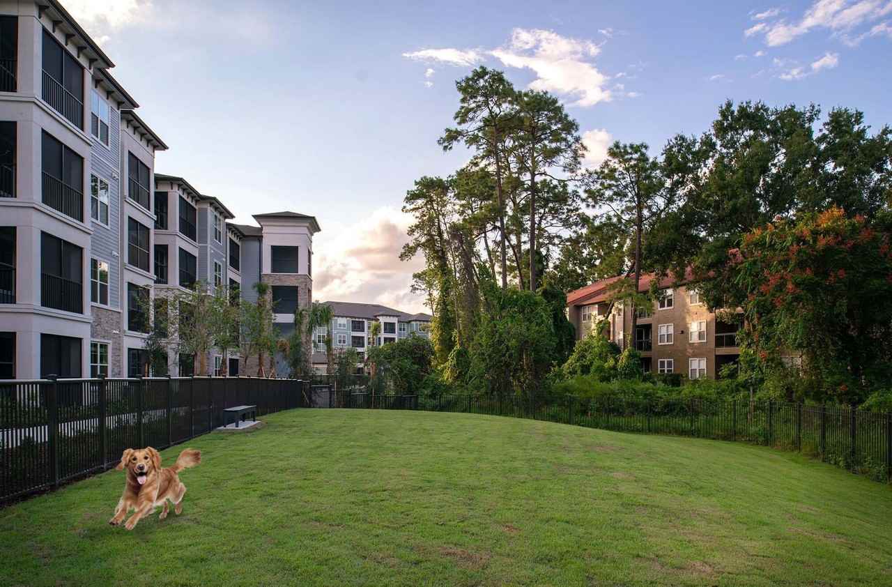 Camden Lake Buena Vista - Photo 5 of 43