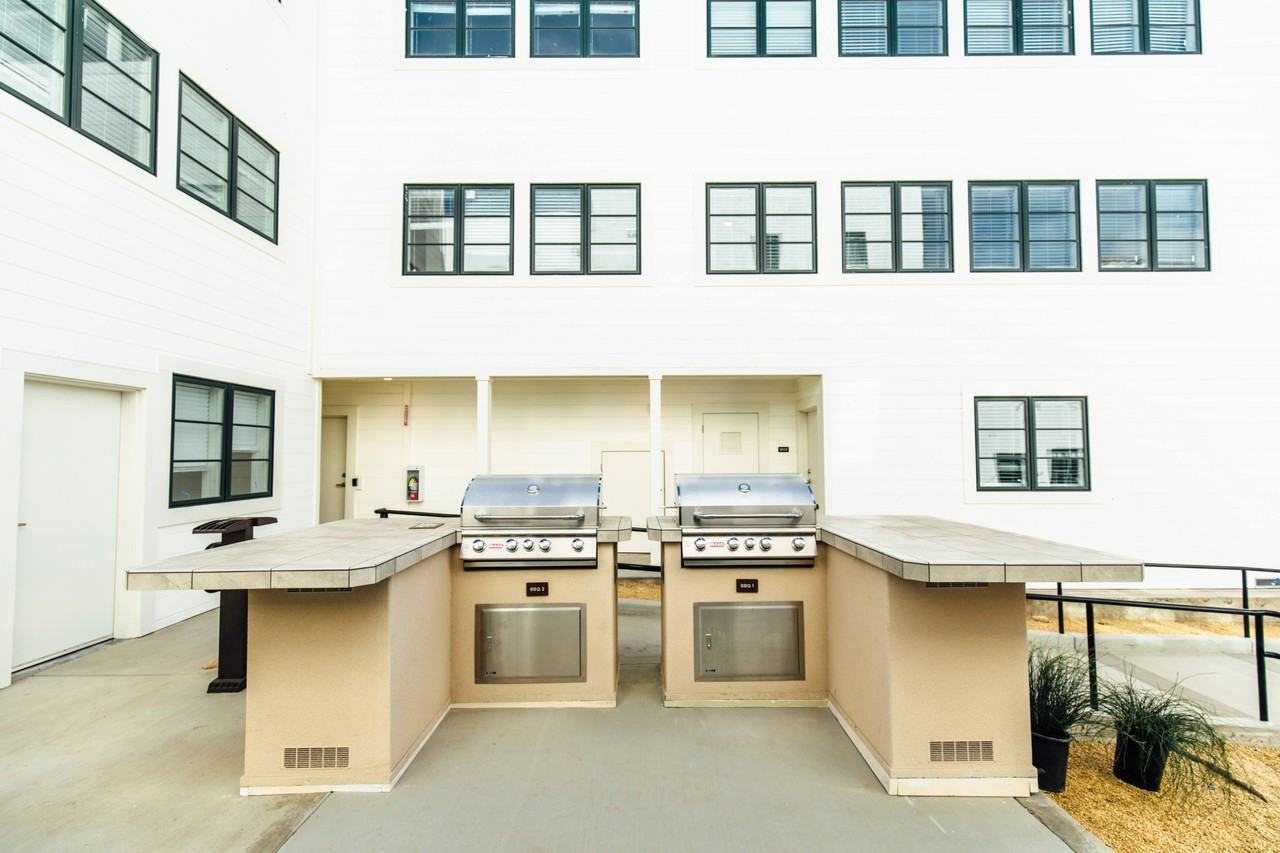 Rose on Bond - Photo 5 of 50