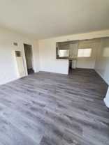 332 Standard - Photo 1 of 1