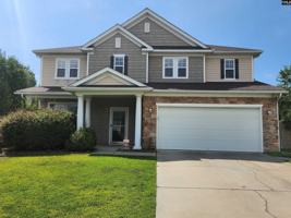 featured image of 213 Indigo Springs Drive