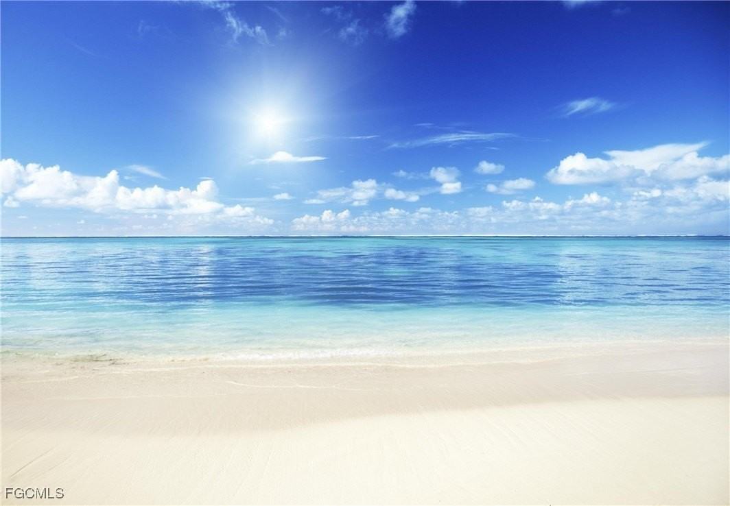 2001 Tarpon Bay Dr N Apt 102 #102 - Photo 3 of 49