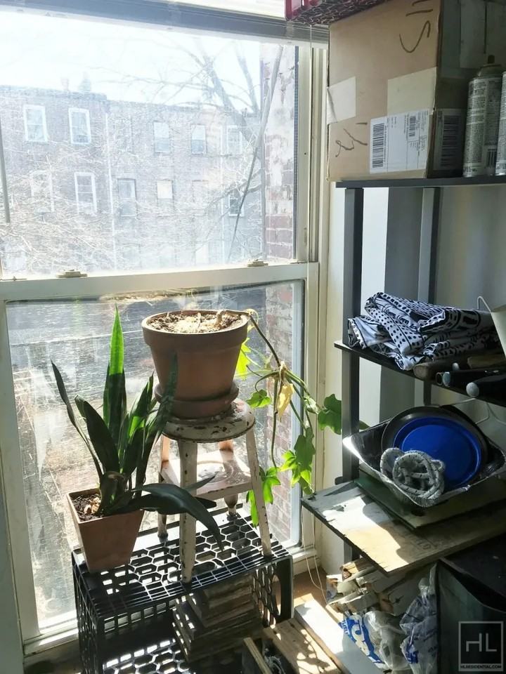 444 Halsey Street - Photo 3 of 10