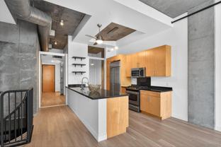 1025 Island Avenue #202 - Photo 1 of 1