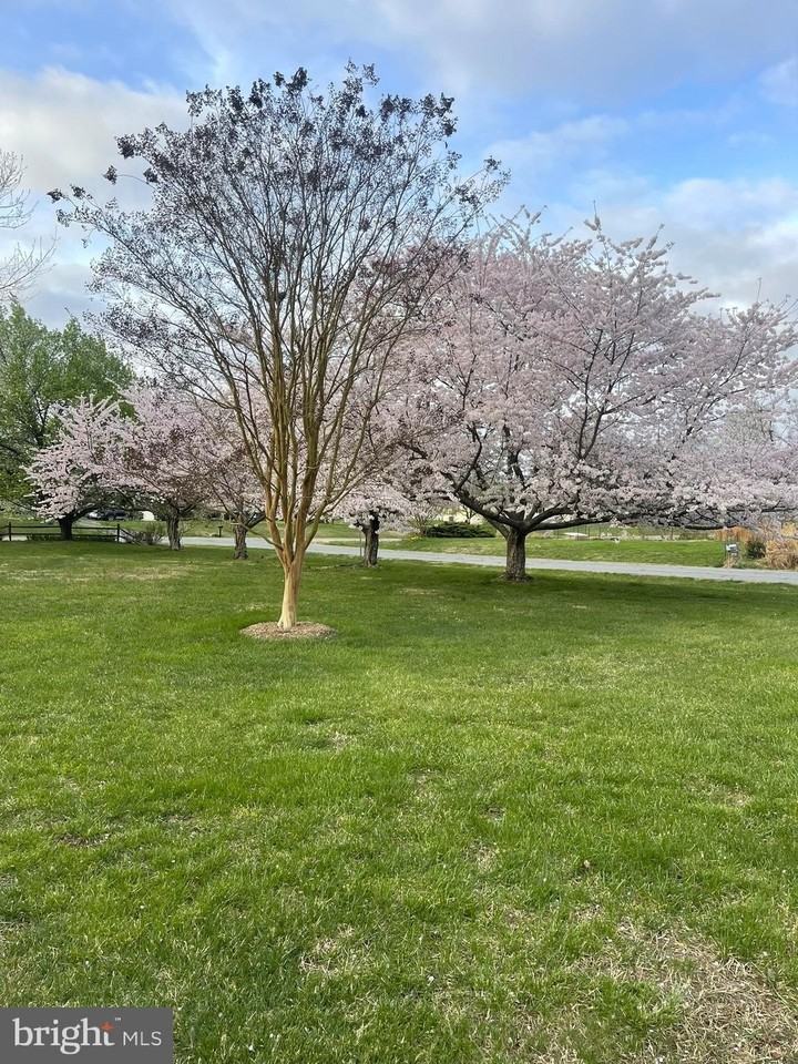 205 Cedar Beach Drive - Photo 4 of 50