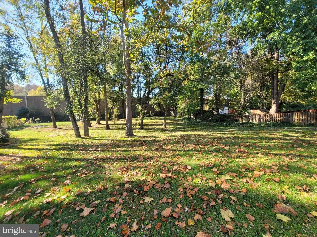 11113 Maiden Drive - Photo 7 of 13