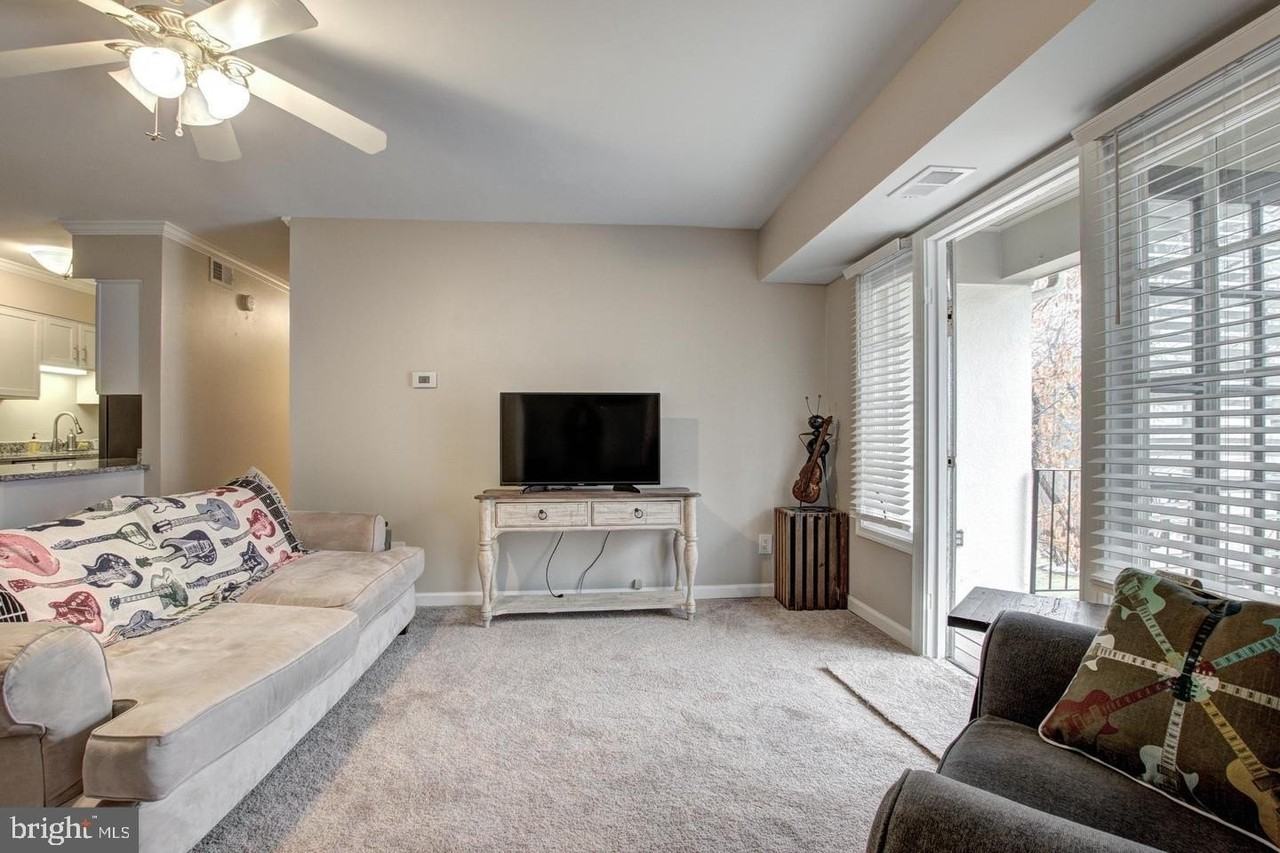 8354-G Dunham Ct Unit 655 #655 - Photo 4 of 23