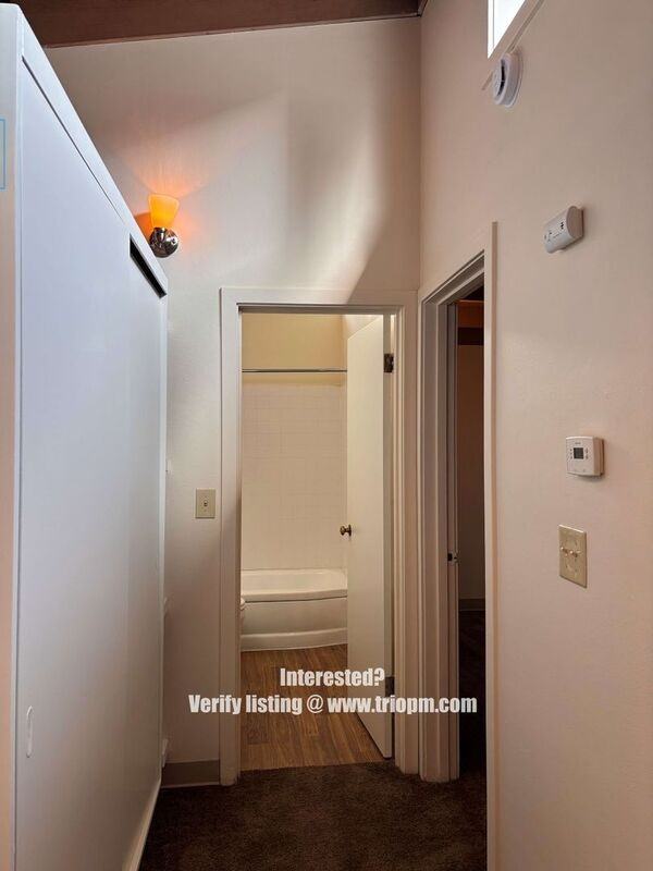 1889 Hilyard St - Photo 6 of 11