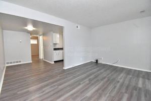 featured image of 1517 Oxford Place #17
