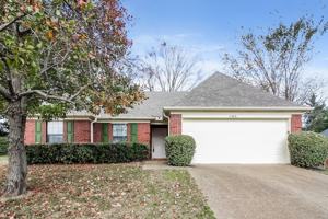 featured image of 6848 Stevenwoods Avenue