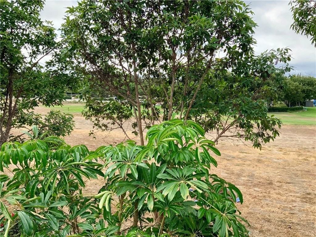 124 Cartier Aisle - Photo 7 of 31